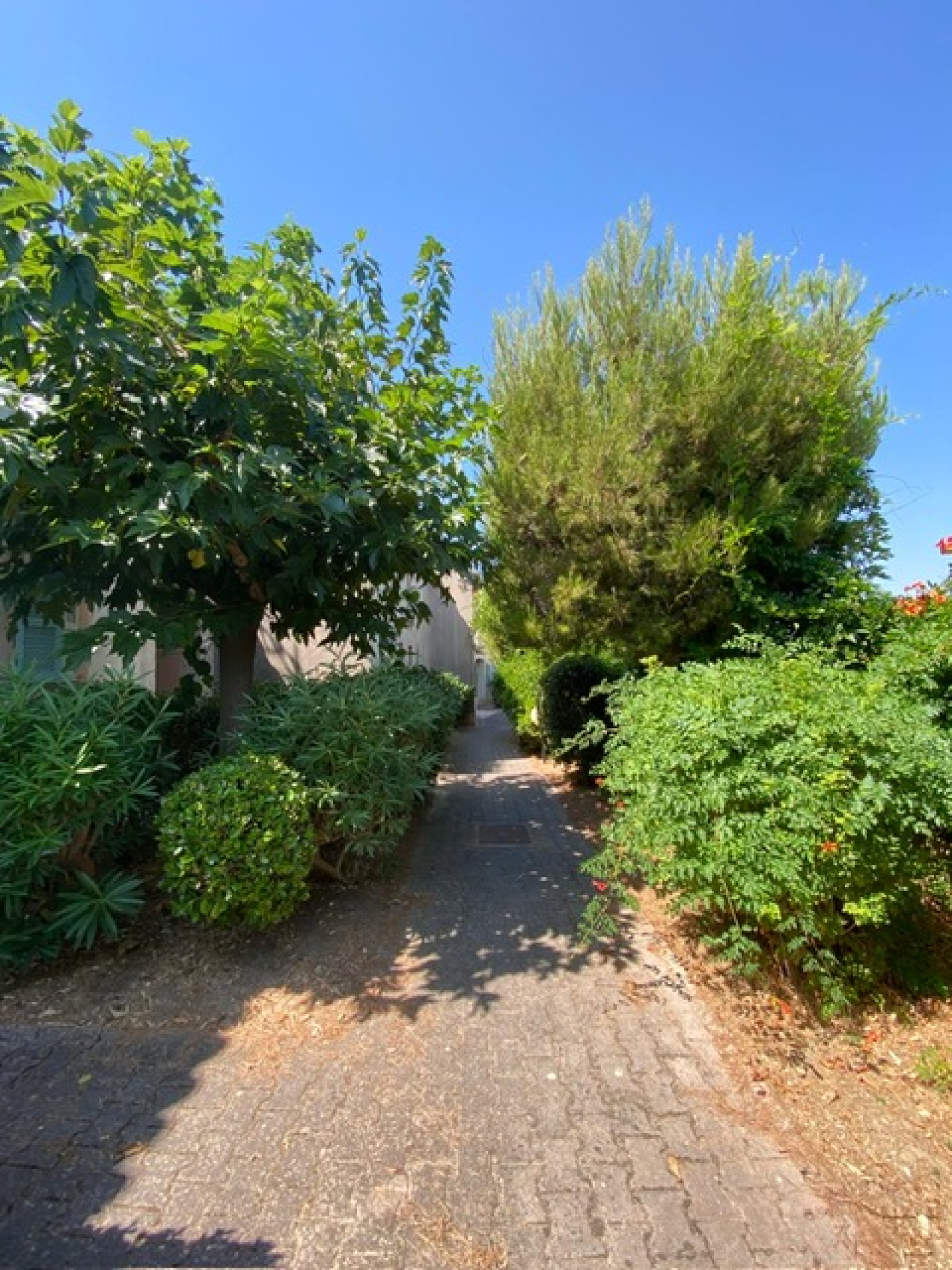 Image_2, Appartement, La Seyne-sur-Mer,
                                ref :1753