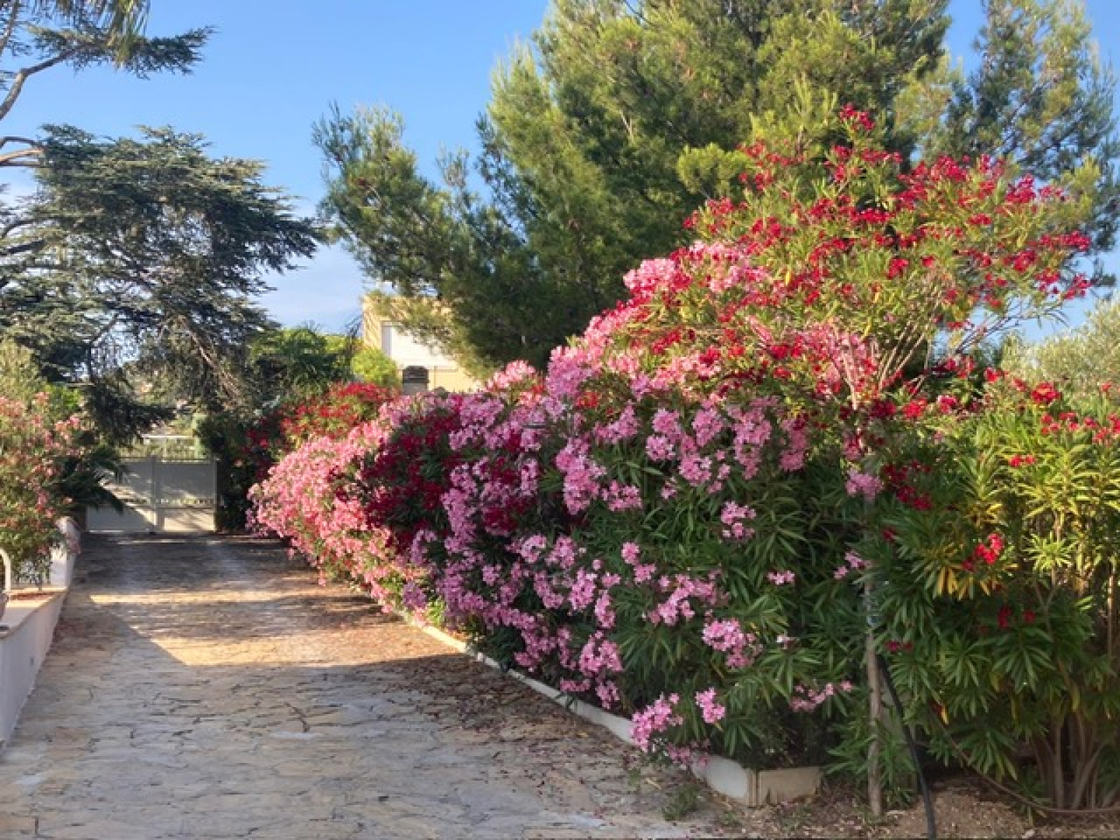 Image_3, Maison, Bandol,
                                ref :1775