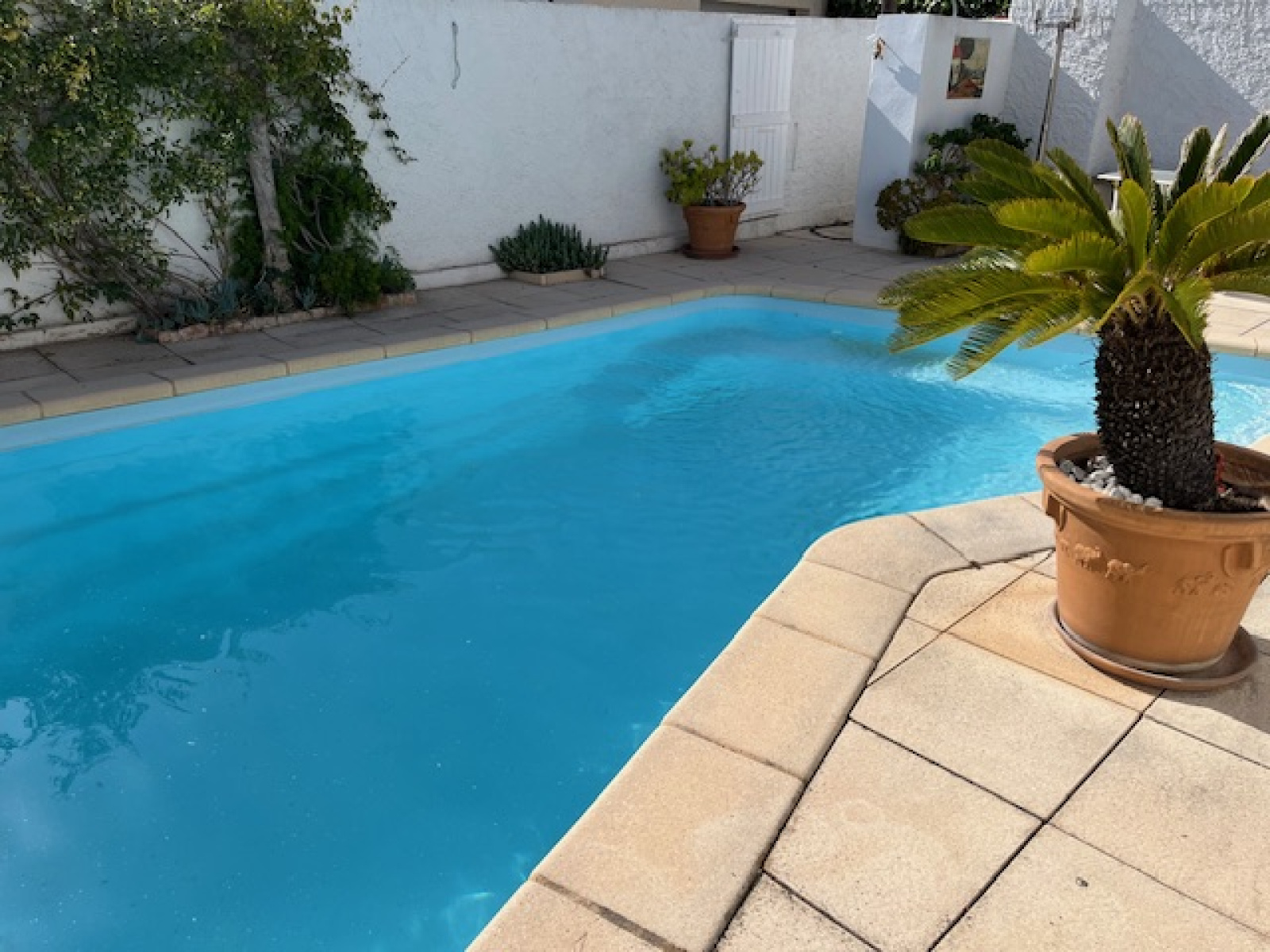 Image_17, Villa, Bandol,
                                ref :1729