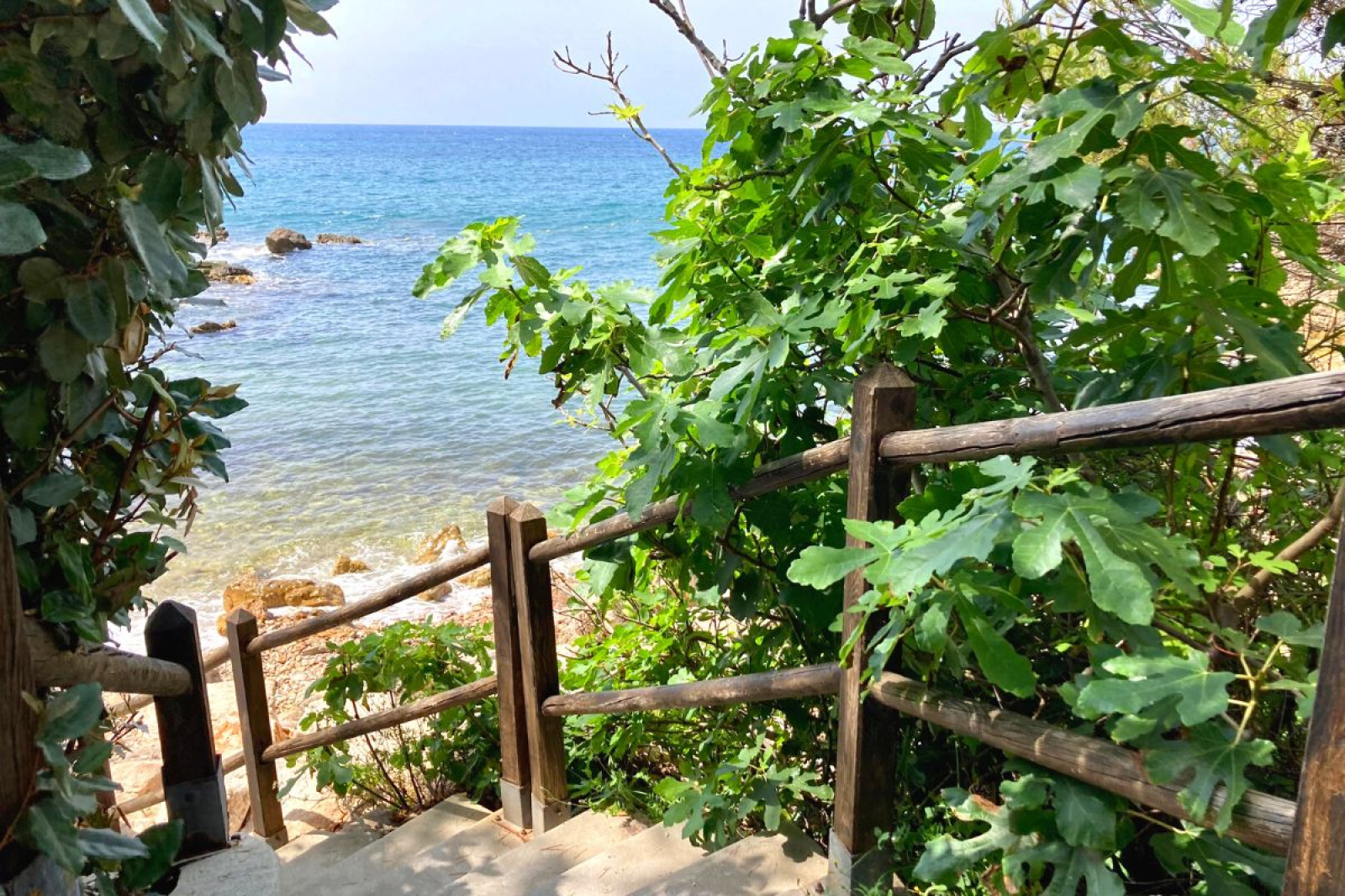 Image_1, Appartement, Bandol,
                                ref :1684