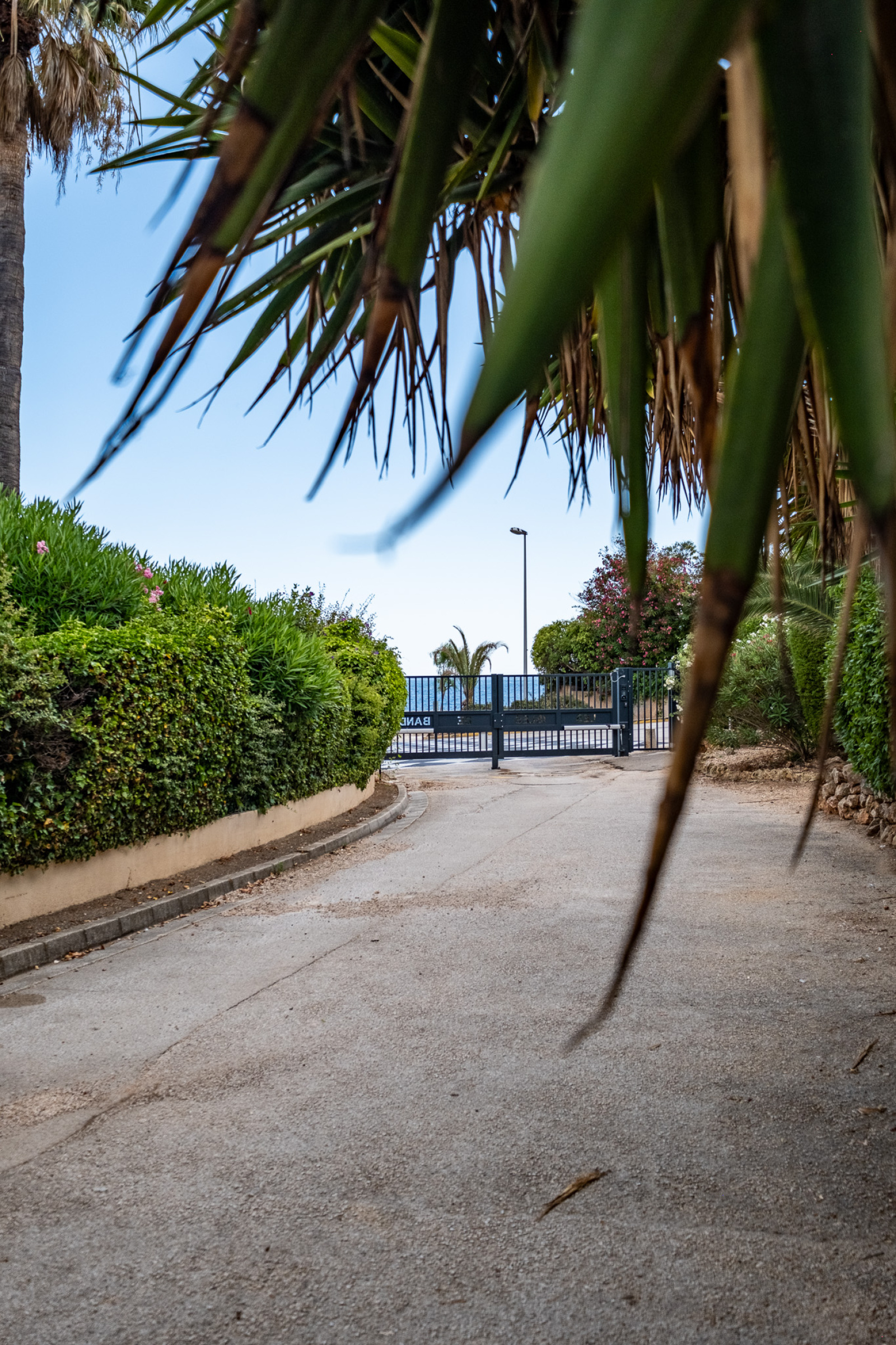 Image_18, Appartement, Bandol,
                                ref :1748