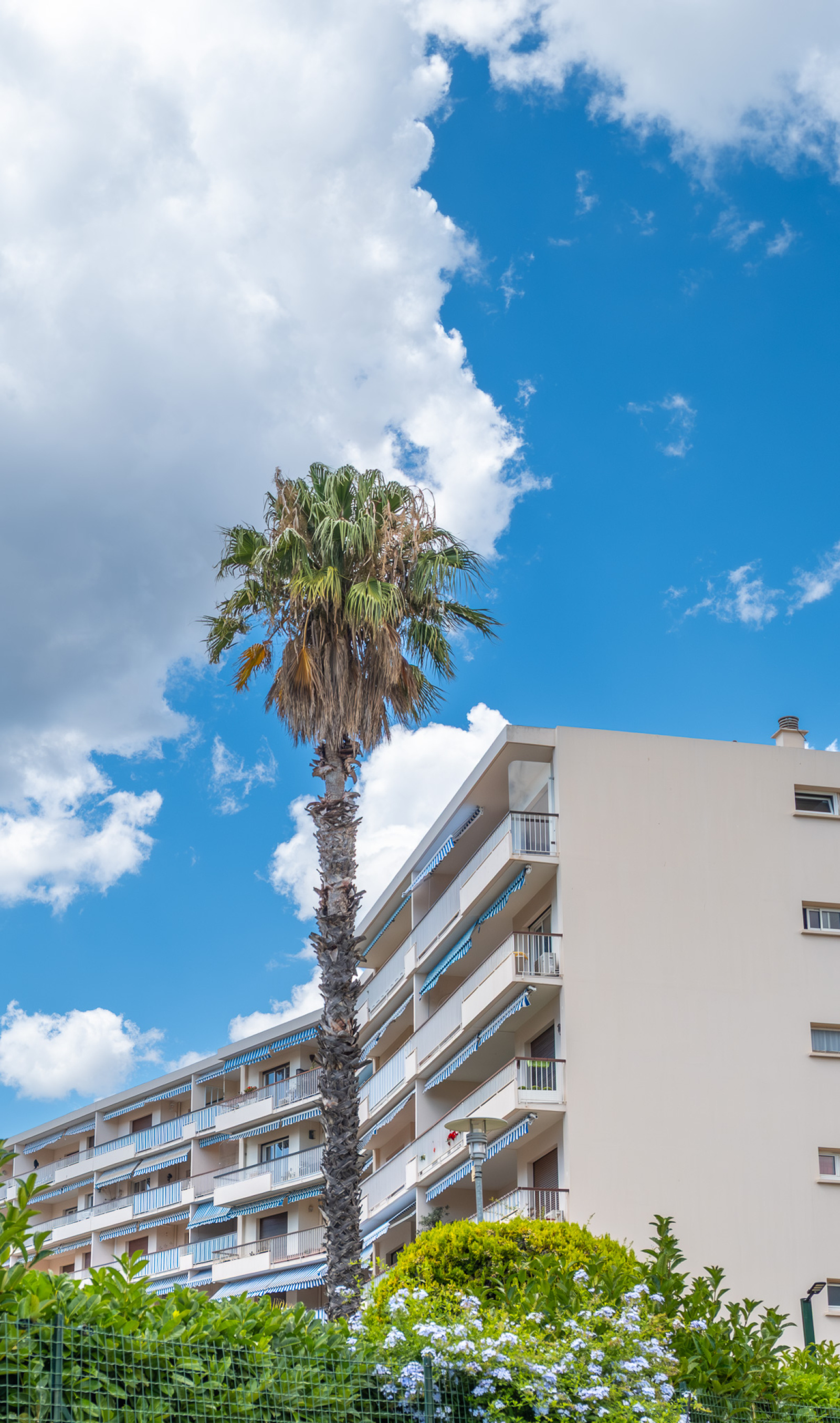 Image_20, Appartement, Bandol,
                                ref :1748