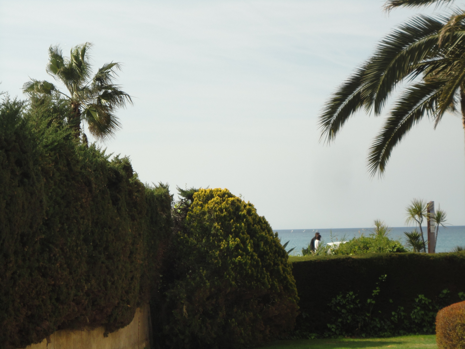 Image_2, Appartement, Sanary-sur-Mer,
                                ref :1819