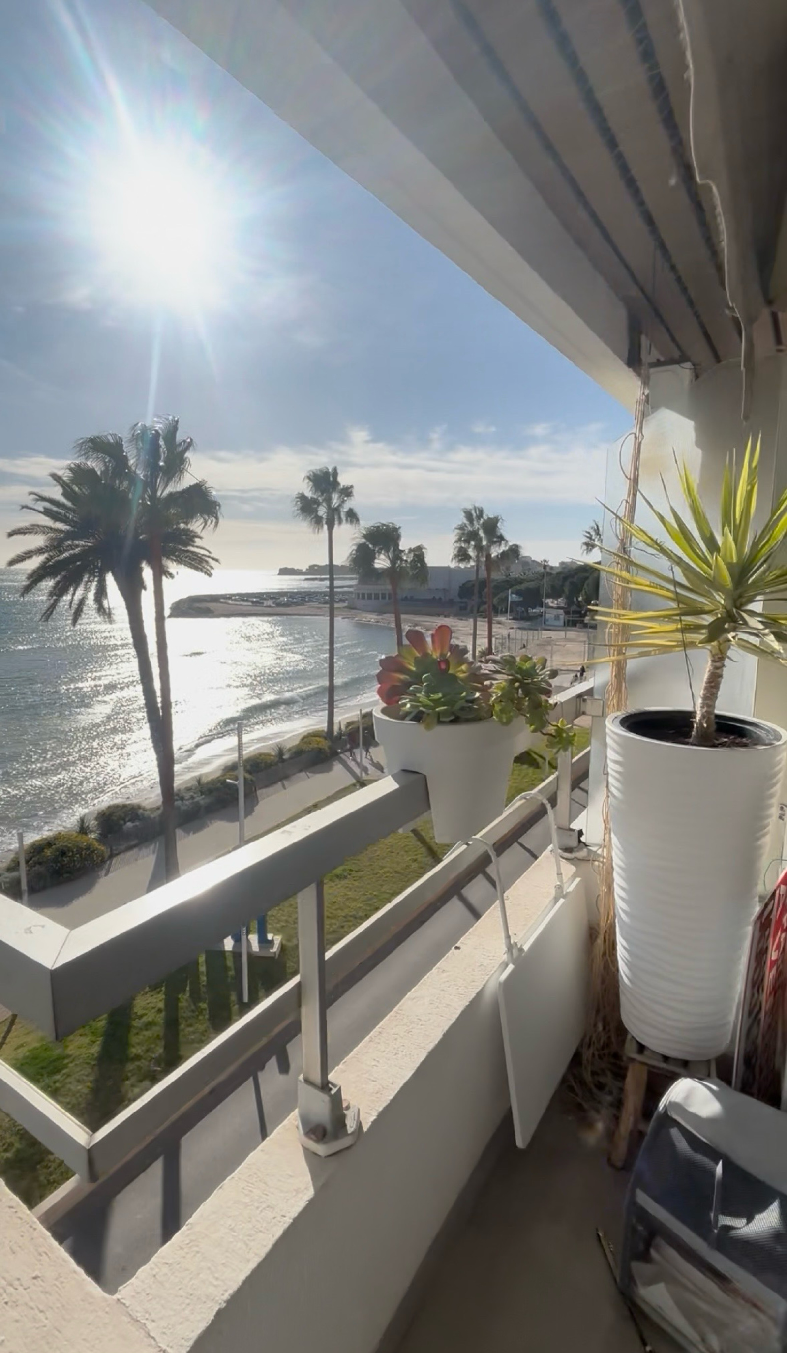 Image_11, Appartement, Bandol,
                                ref :1806