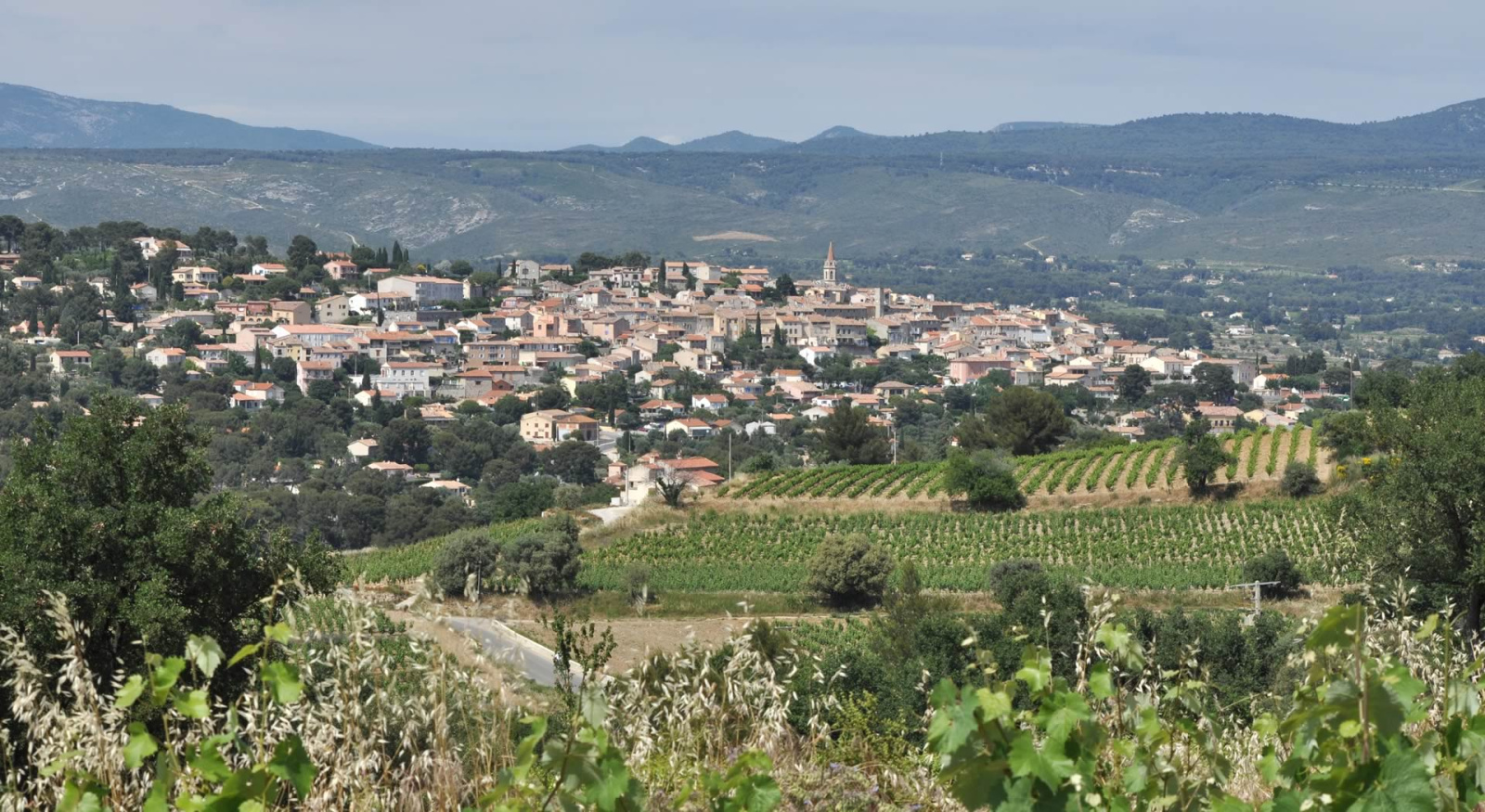 Image_1, Propriete, La Cadière-d'Azur,
                                ref :1844