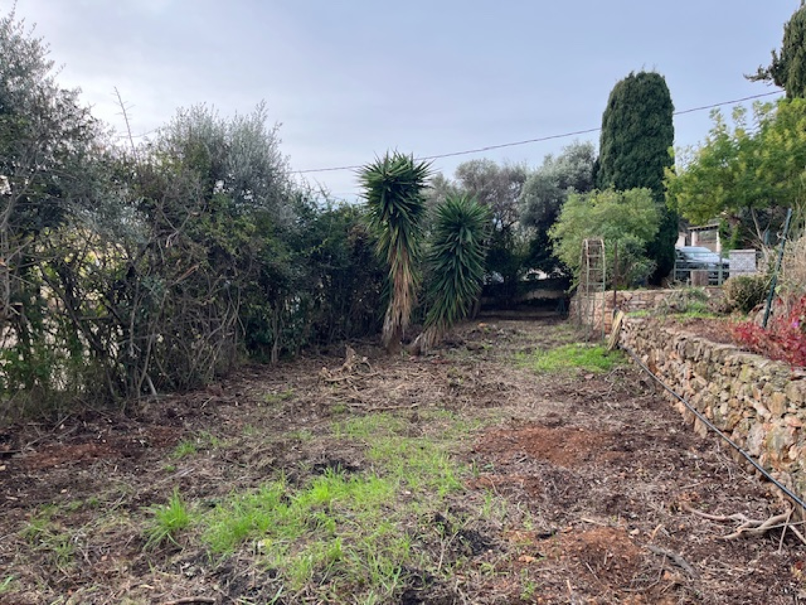 Image_3, Terrain, Bandol,
                                ref :1778