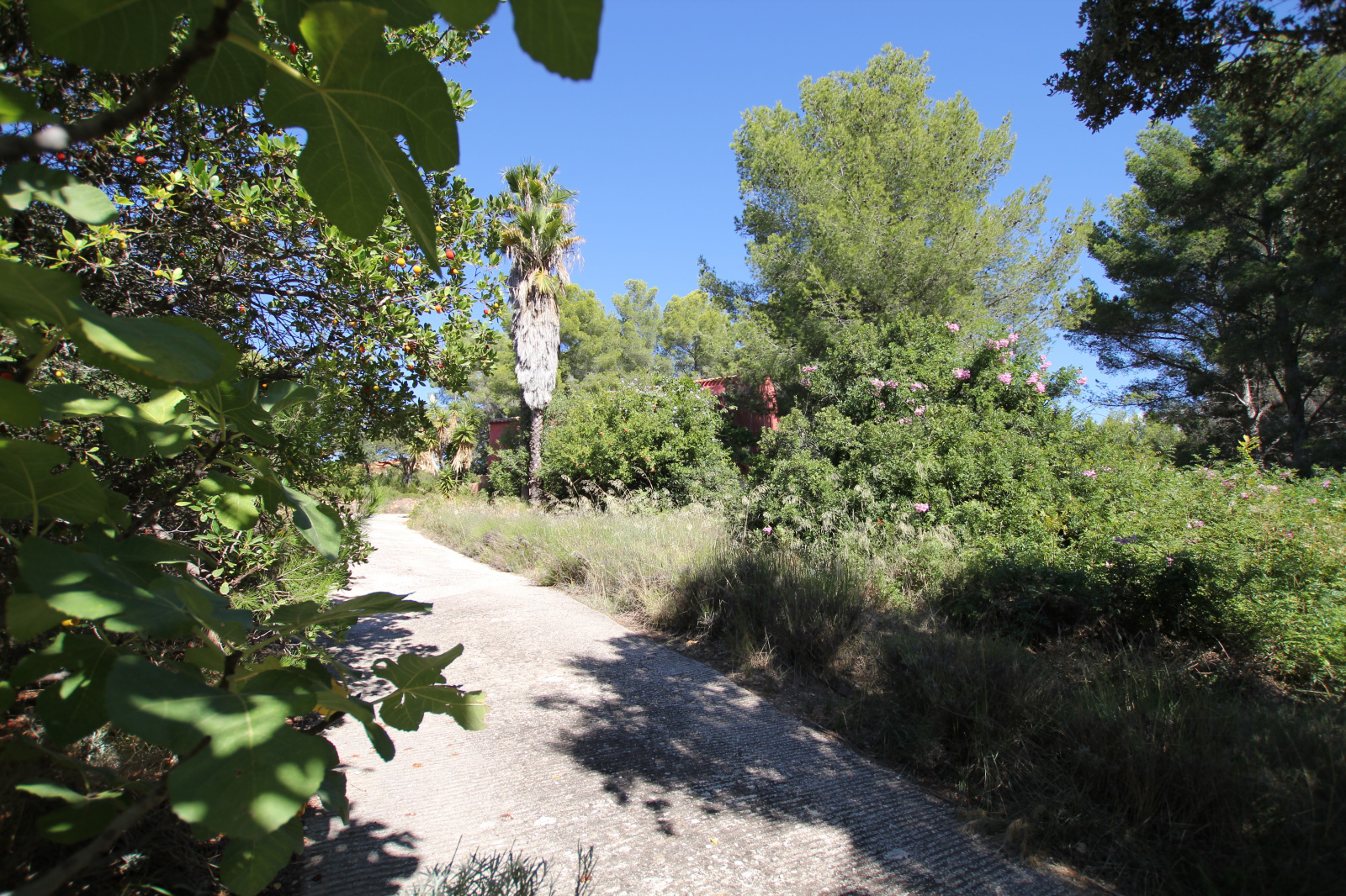 Image_13, Propriete, Bandol,
                                ref :1677