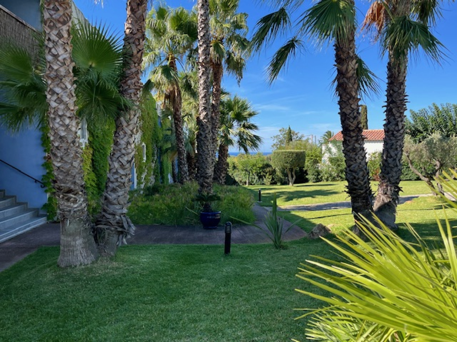 Image_2, Duplex, Bandol,
                                ref :1766