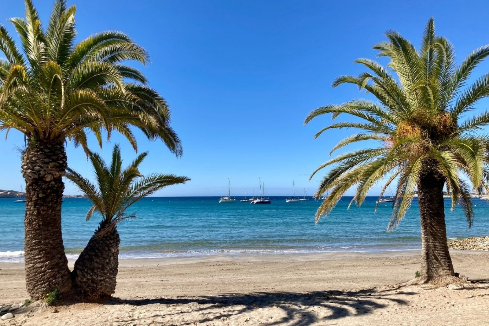 Image_1, Appartement, Bandol,
                                ref :1822